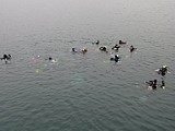 P1050246.JPG